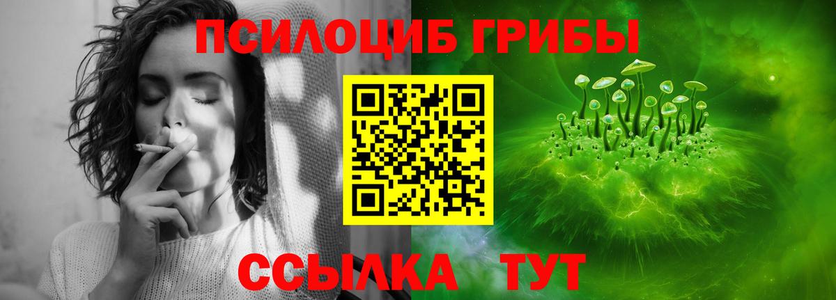 Пенза  Галлюциногенные грибы мицелий  Вход с VPN  Галлюциногенные грибы Psilocybe 